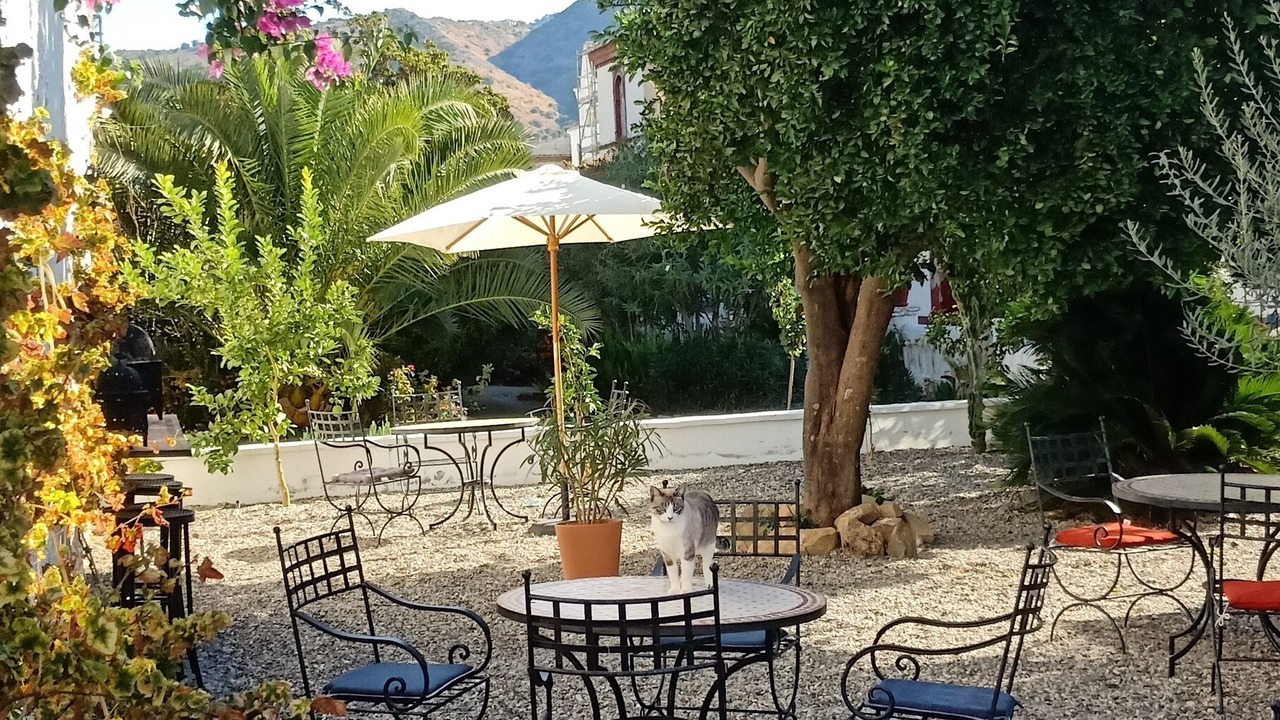 Photo of Patio Balcony in Alora