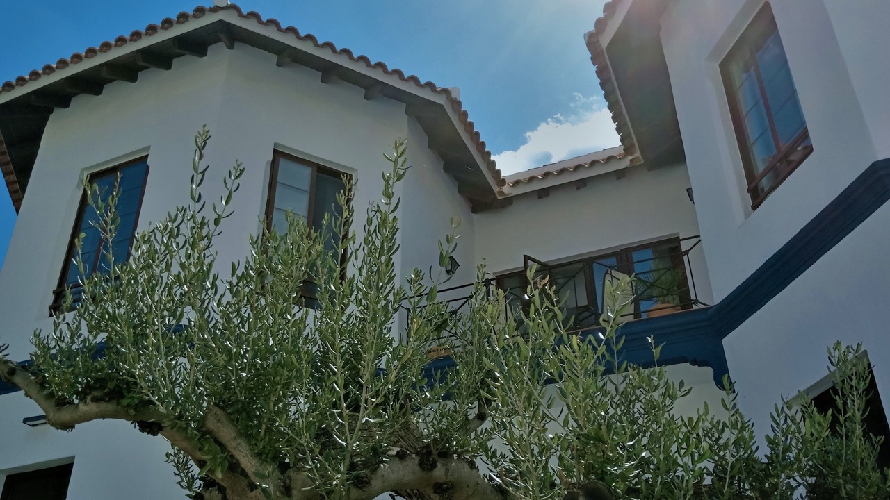 Photo of Outdoor in Alora