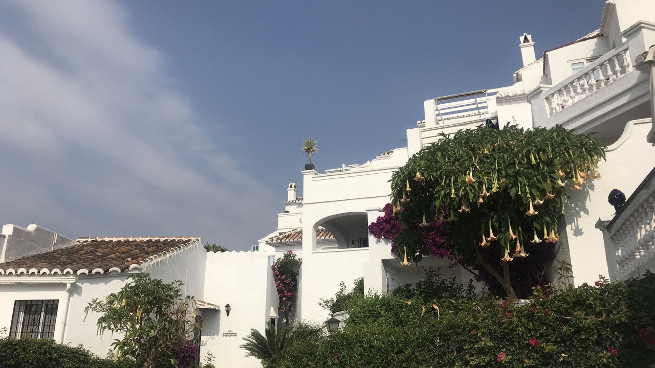 Photo of Outdoor in Oasis del Capistrano
