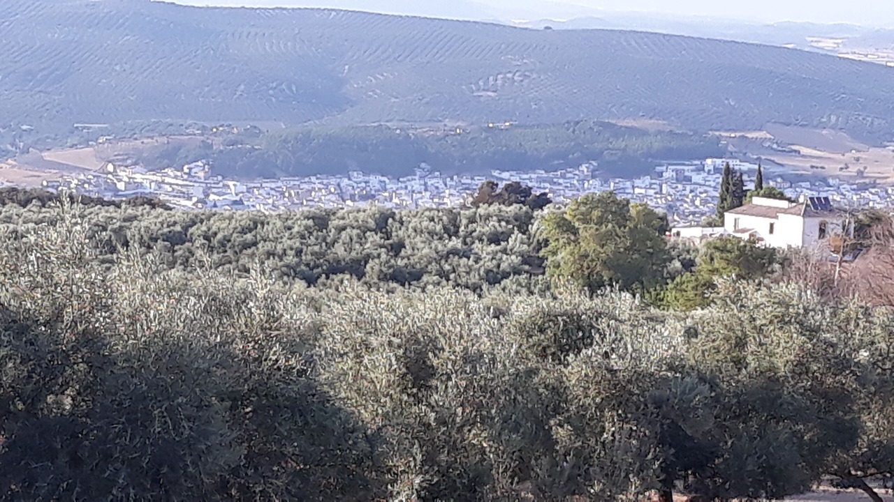 Photo of Outdoor in Villanueva del Rosario