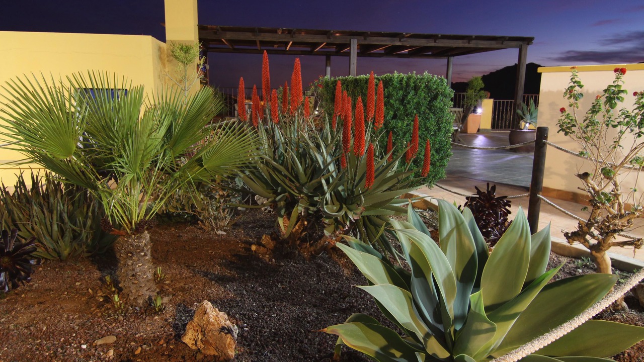 Photo of Outdoor in El Pozo de los Frailes