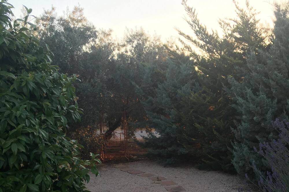 Photo of Outdoor in Villanueva del Trabuco