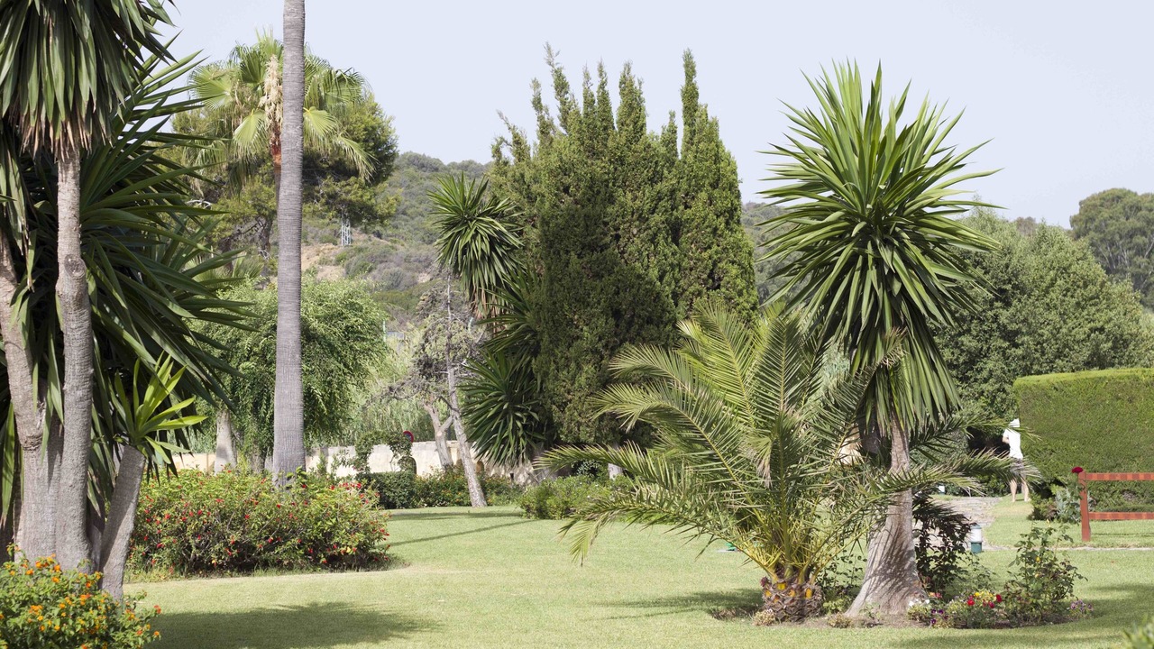 Photo of Outdoor in Bahia Dorada