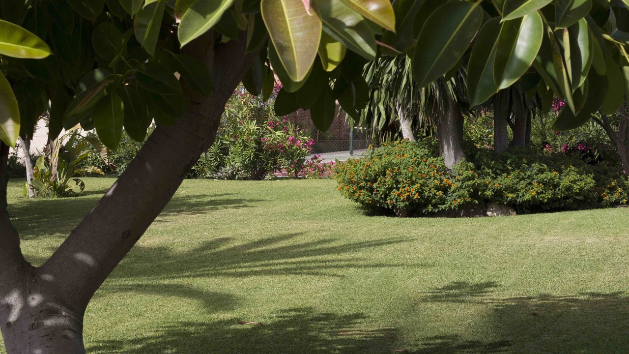 Photo of Outdoor in Bahia Dorada