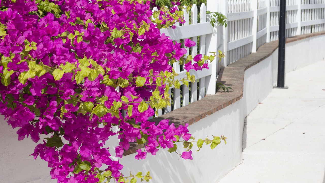 Photo of Outdoor in Bahia Dorada