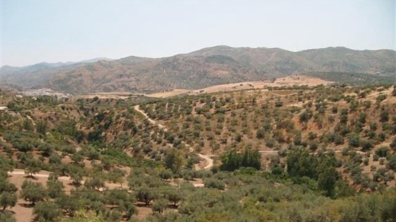 Photo of Outdoor in Riogordo