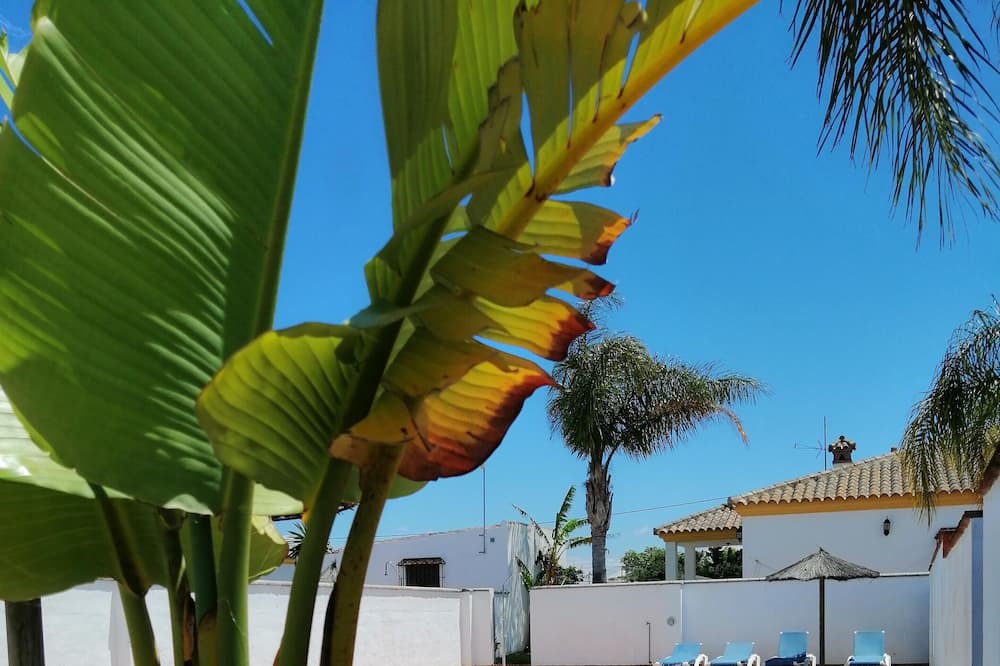 Photo of Outdoor in Conil de la Frontera