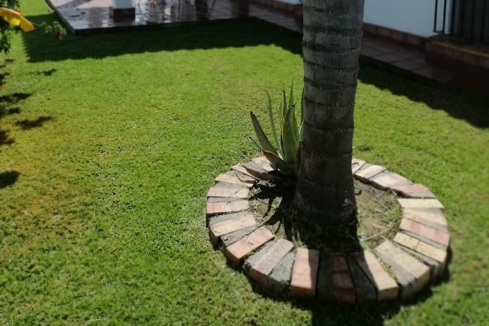 Photo of Outdoor in Conil de la Frontera
