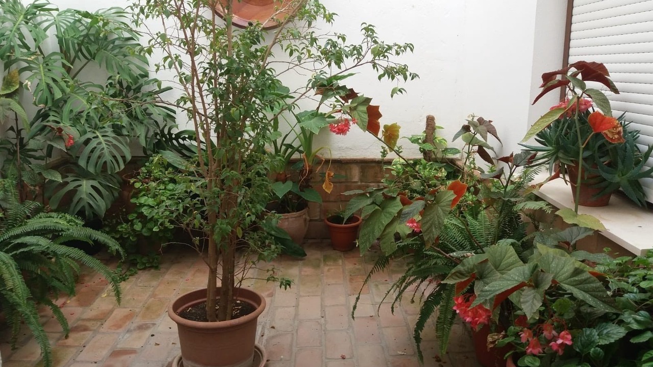 Photo of Outdoor in Paterna de Rivera