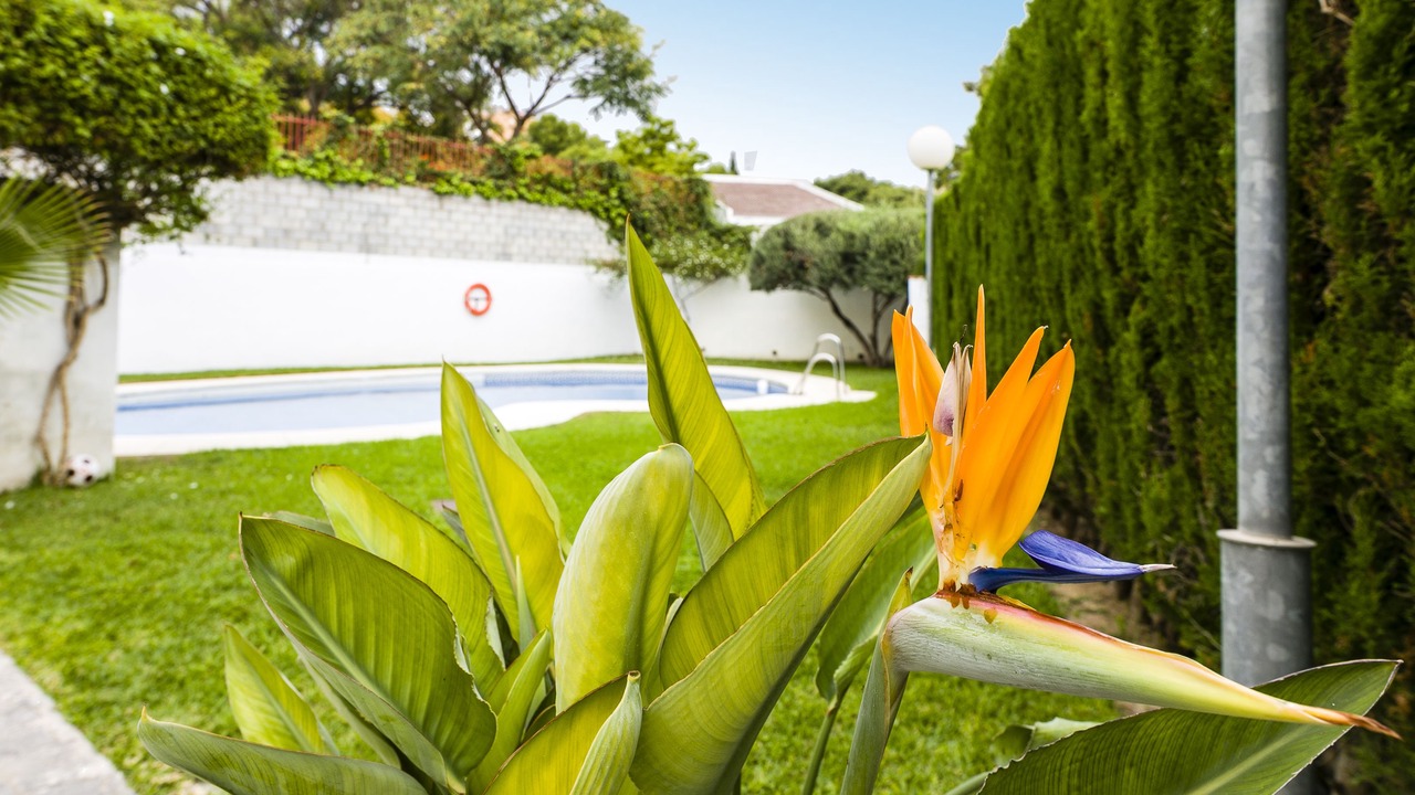 Photo of Outdoor in Arroyo de la Miel
