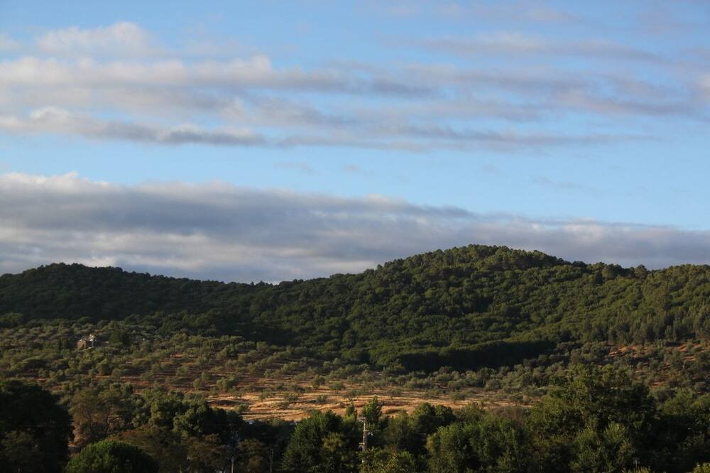 Photo of Others in Cazalla De La Sierra