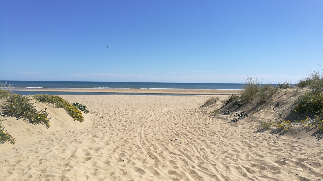 Photo of Others in Ayamonte