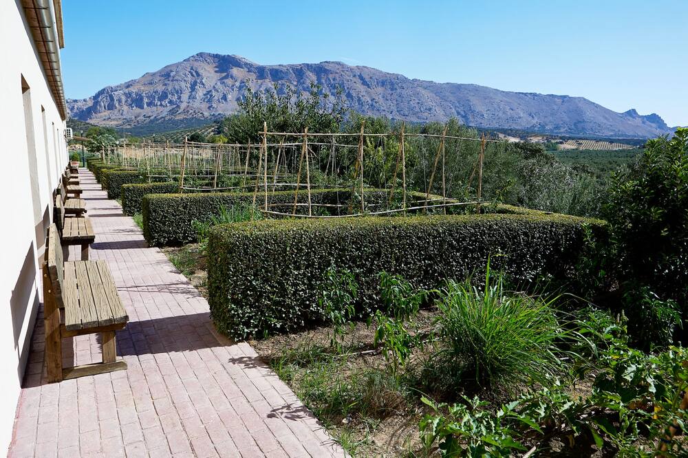Photo of Patio Balcony in Antequera