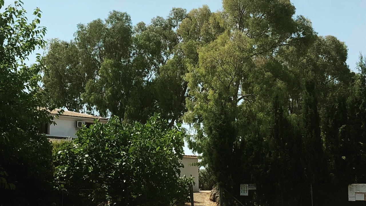 Photo of Outdoor in Villanueva de Tapia