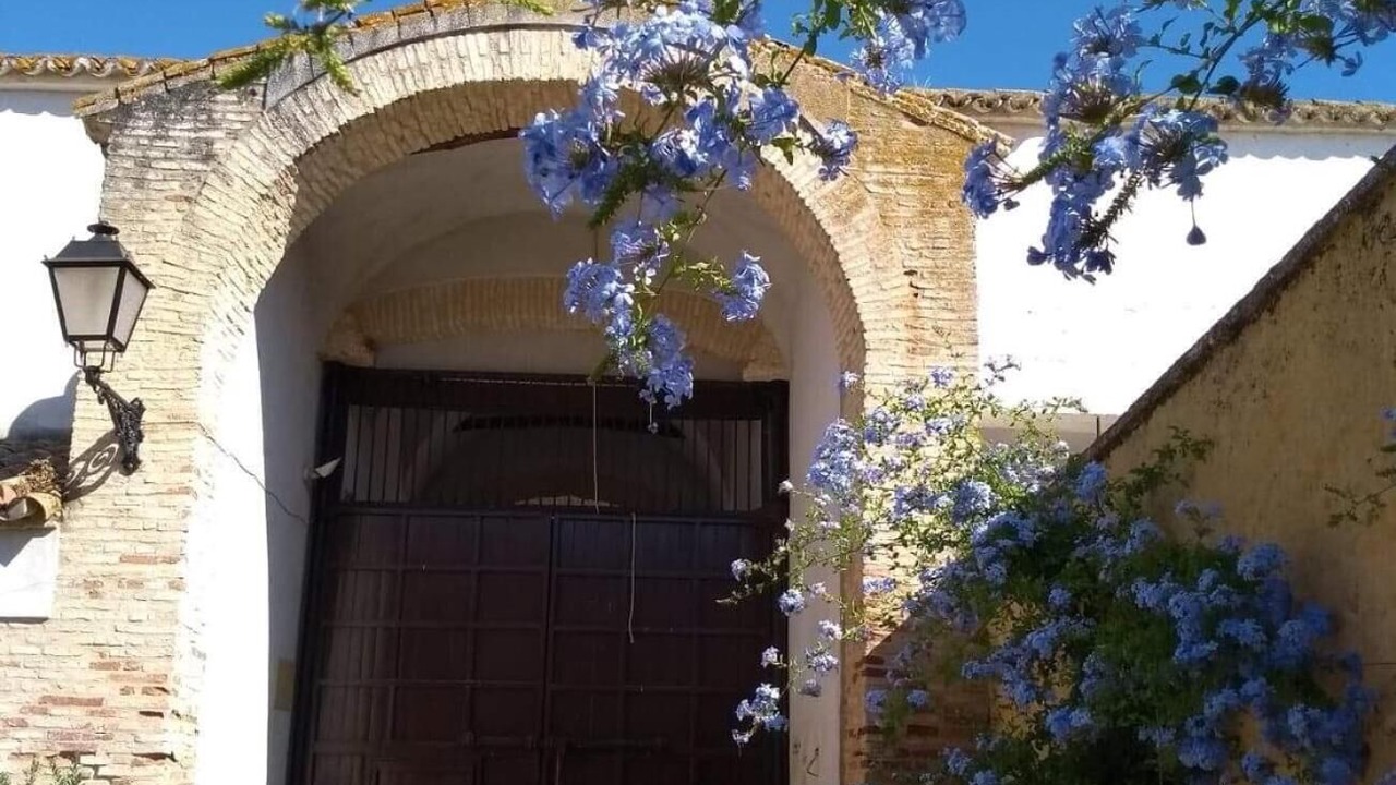 Photo of Outdoor in Carmona