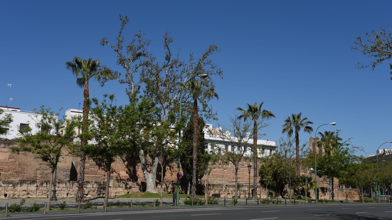 Photo of Outdoor in Cruz Roja-Capuchinos