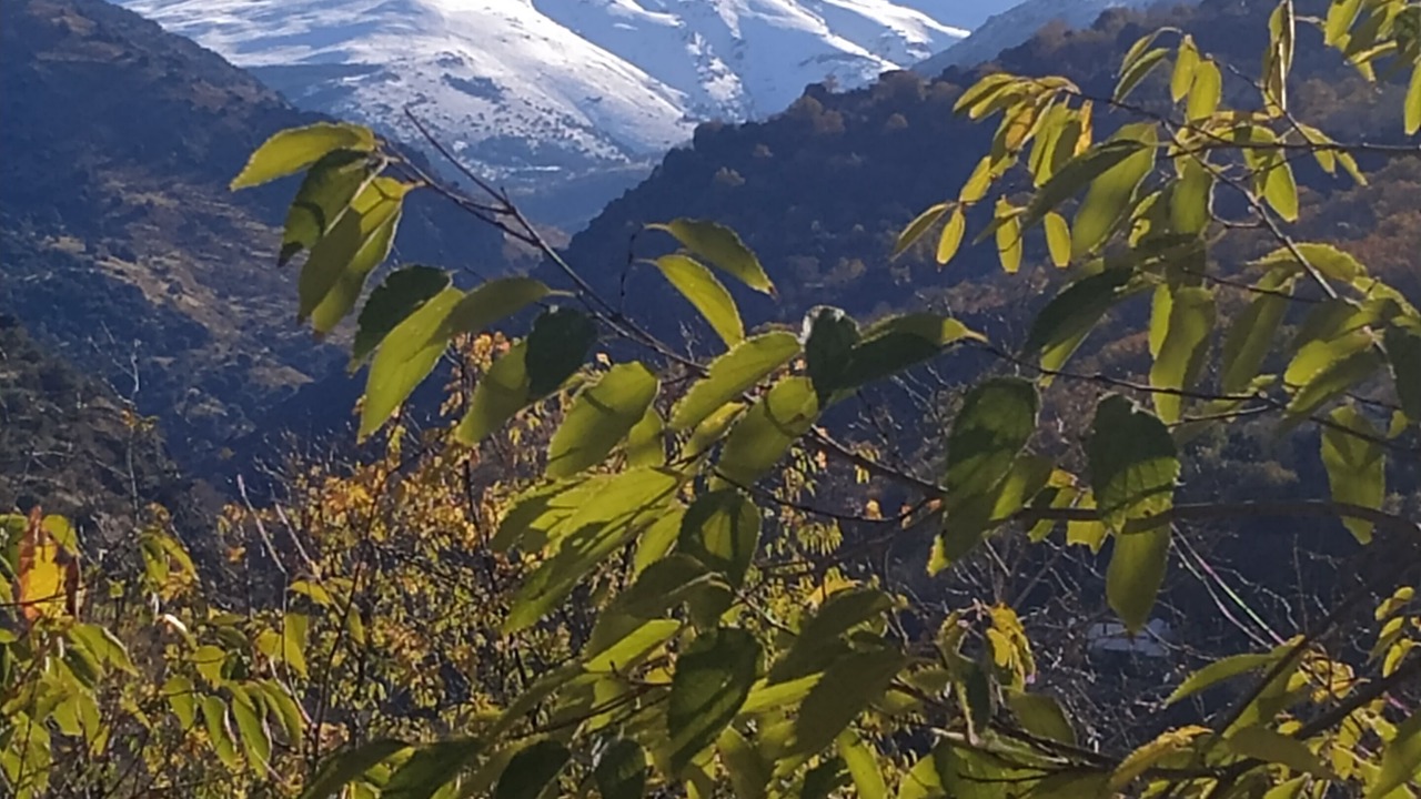 Photo of Others in Guejar Sierra