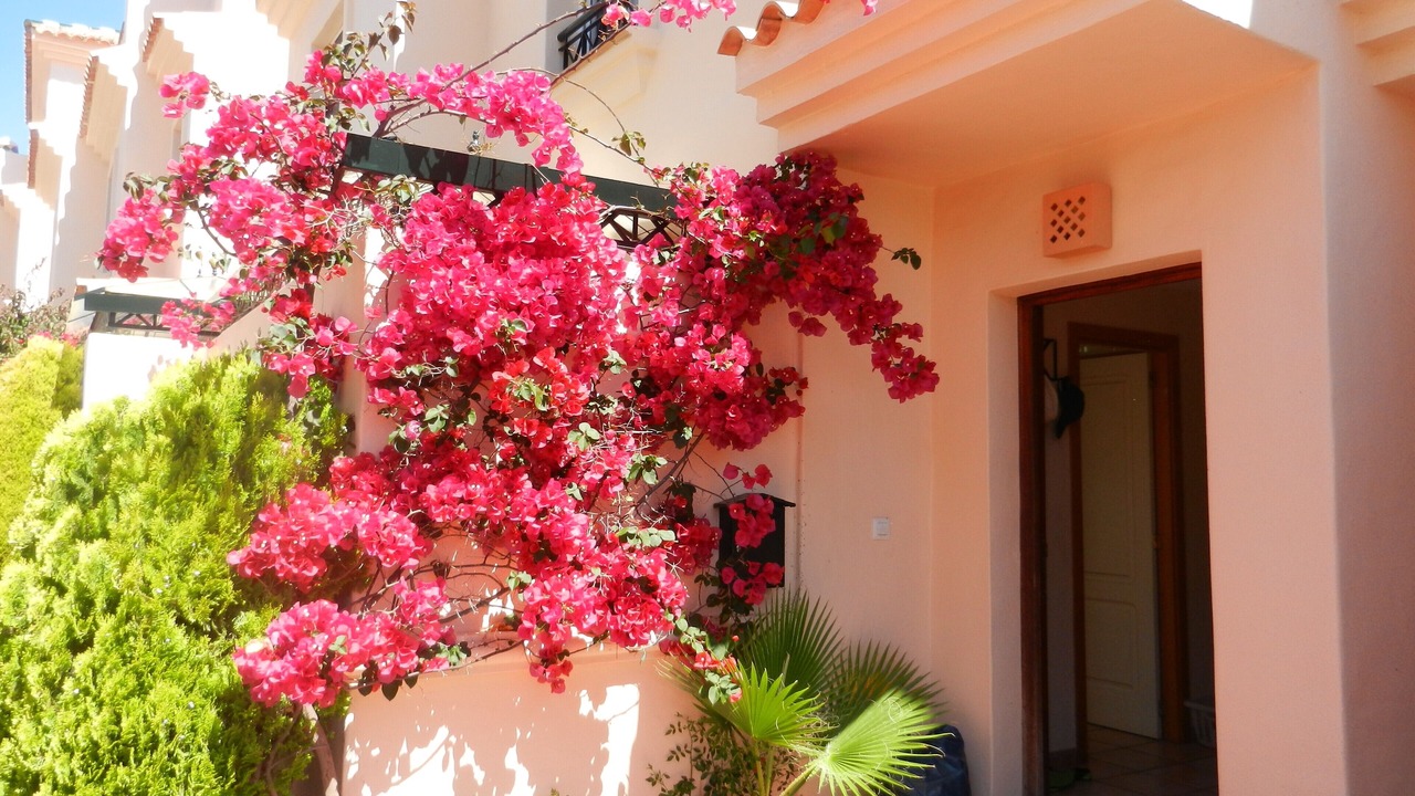 Photo of Outdoor in Islantilla
