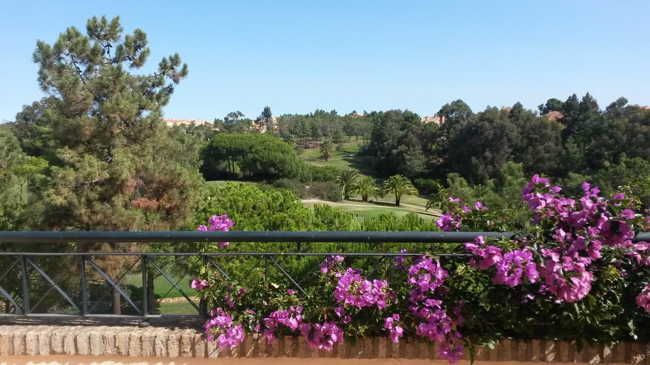 Photo of Outdoor in Islantilla