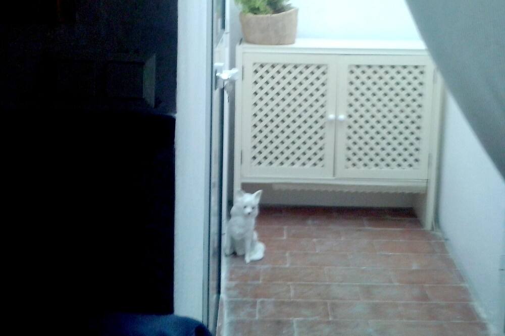 Photo of Patio Balcony in San Roque