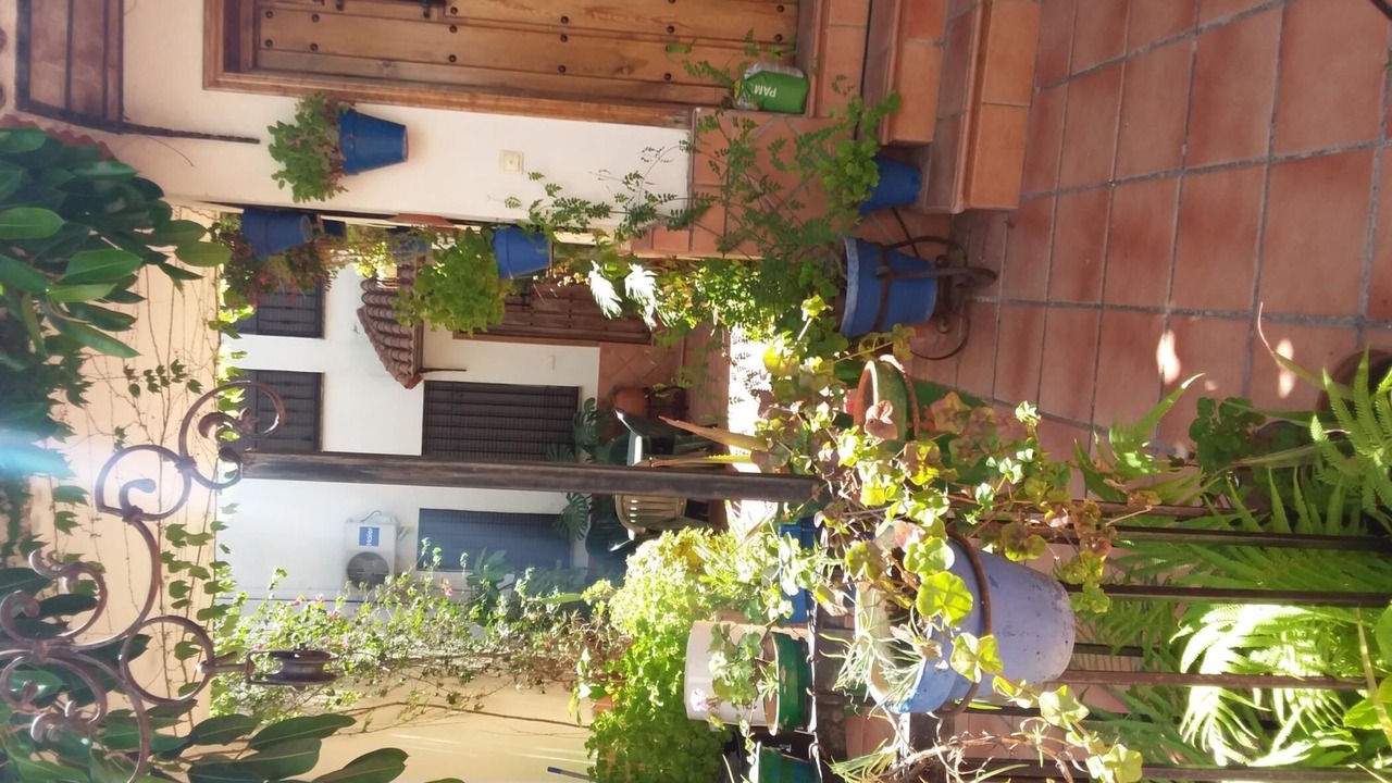 Photo of Outdoor in Cordoba Old City