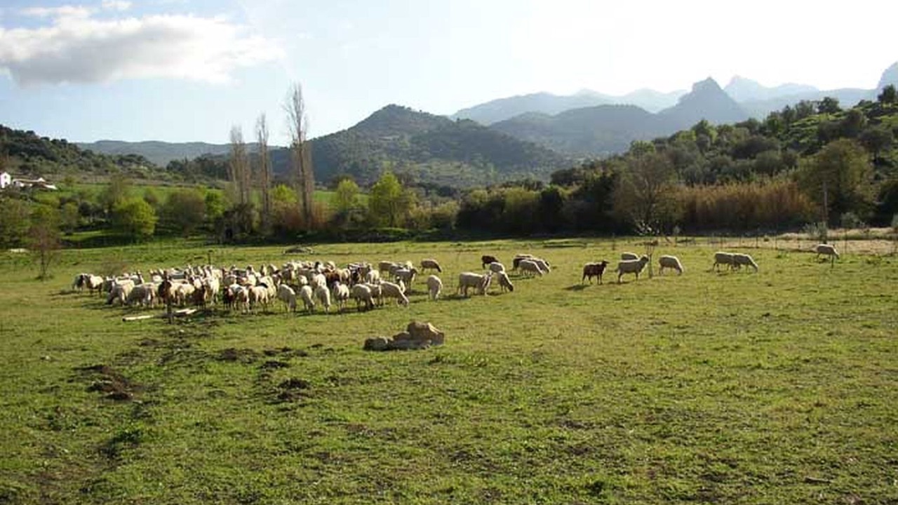 Photo of Outdoor in Benamahoma