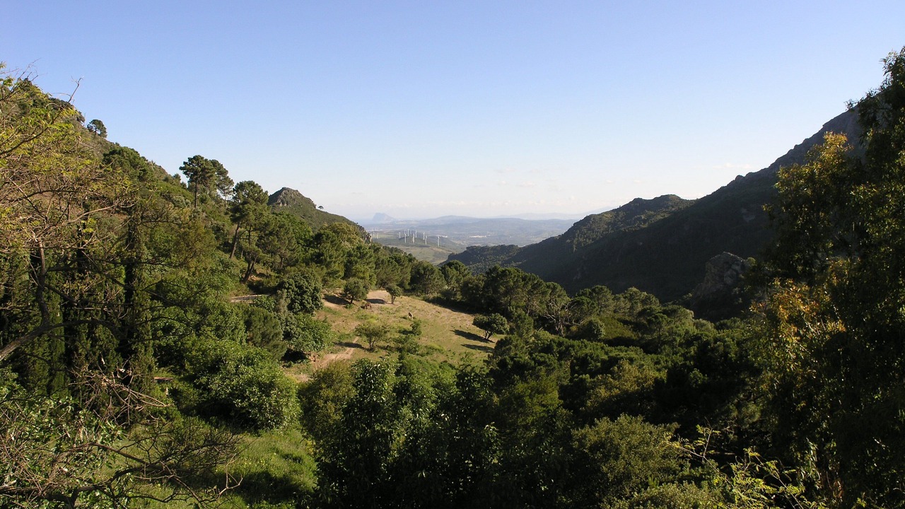 Photo of Outdoor in Casares