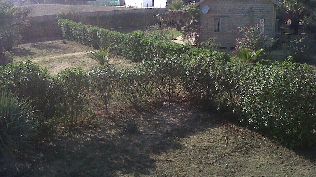 Photo of Outdoor in El Palmar