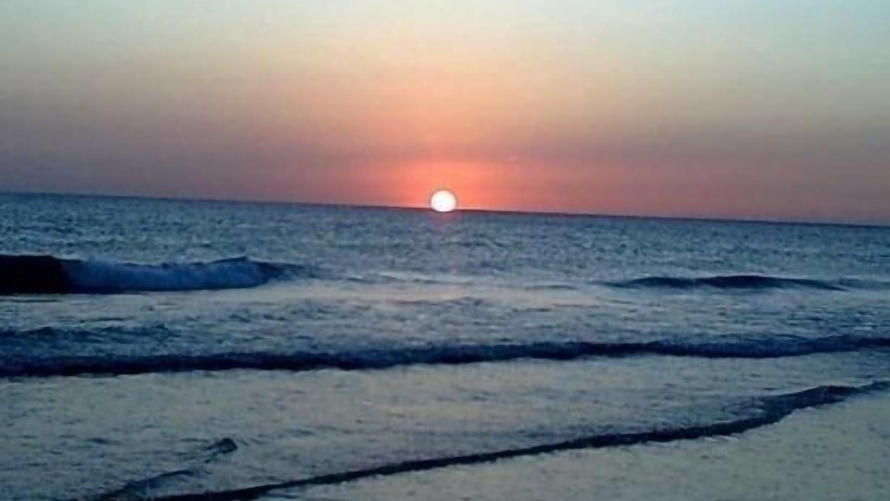 Photo of Others in El Palmar