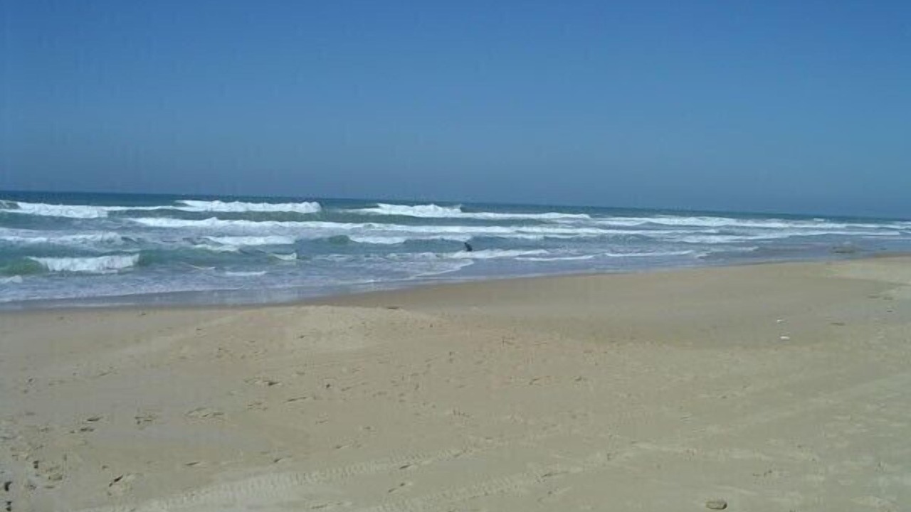 Photo of Others in El Palmar