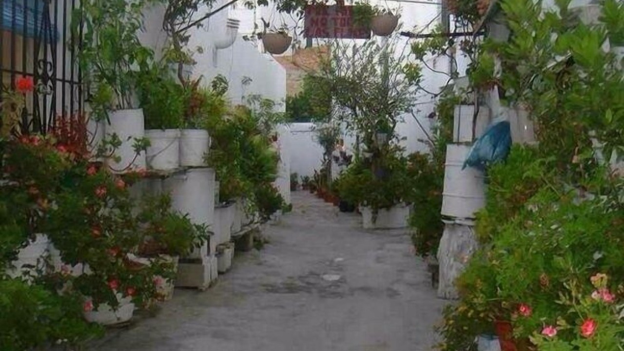 Photo of Outdoor in El Palmar