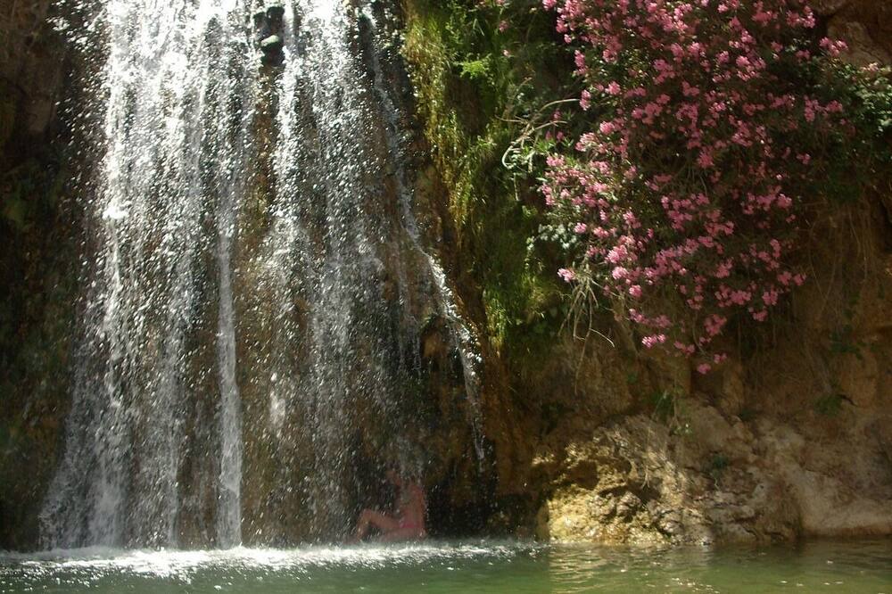 Photo of Others in Zafarraya