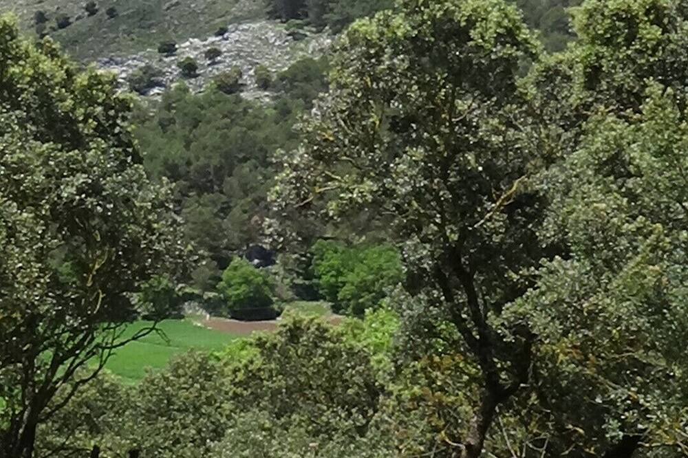 Photo of Others in Zafarraya