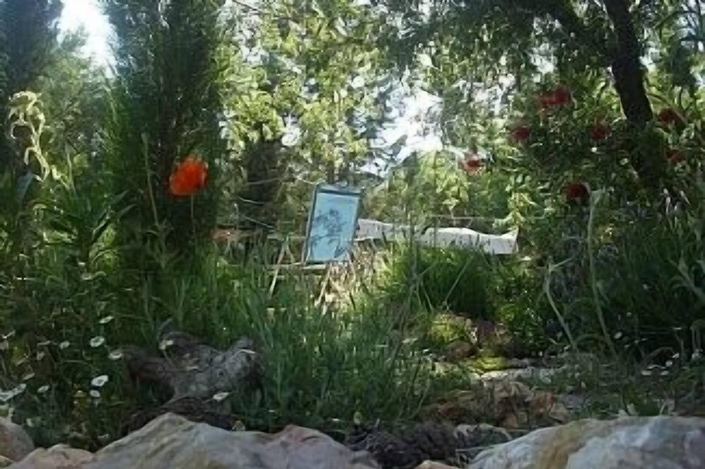 Photo of Outdoor in Zafarraya