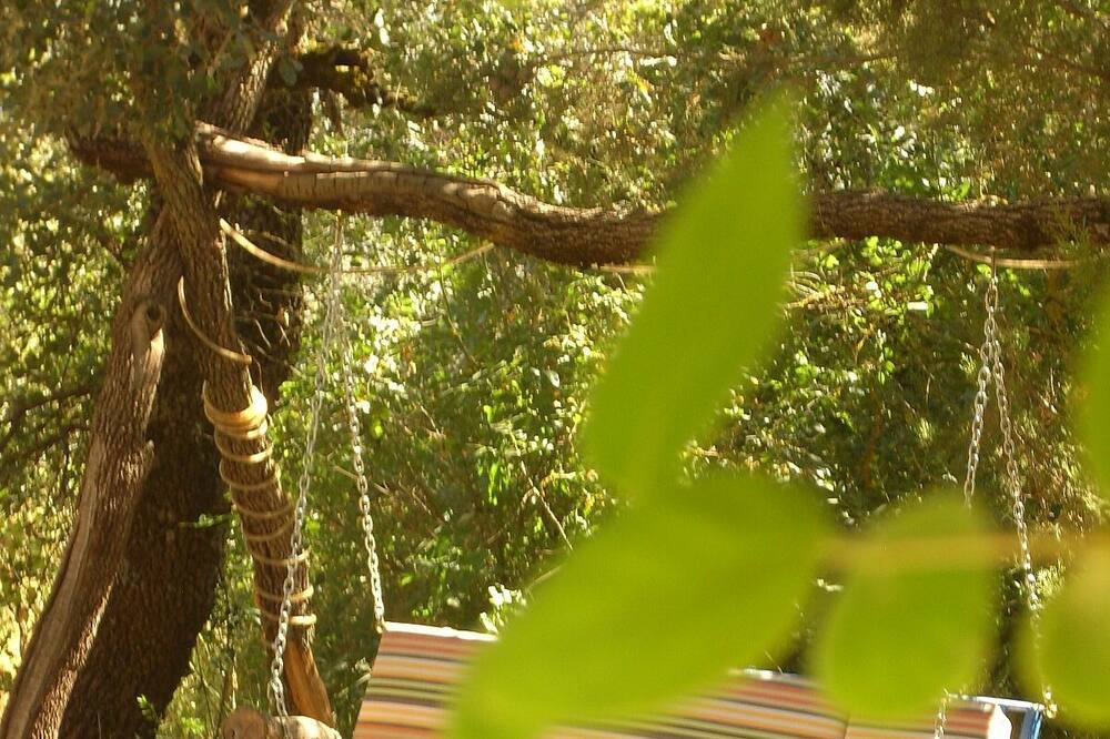 Photo of Others in Zafarraya