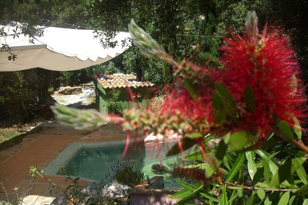 Photo of Outdoor in Zafarraya