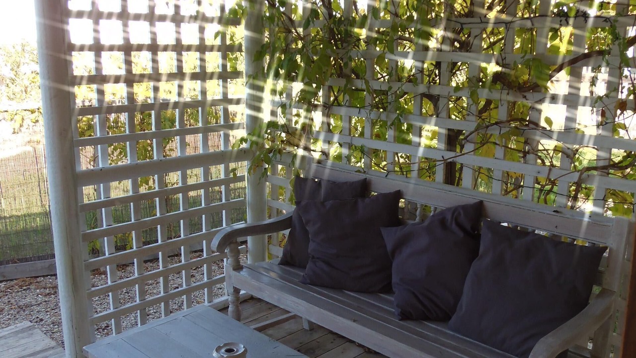 Photo of Outdoor in El Palmar