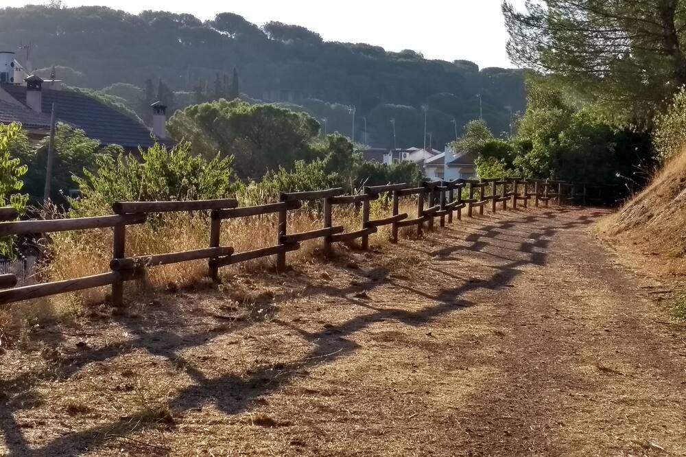 Photo of Others in Santa Maria de Trassierra