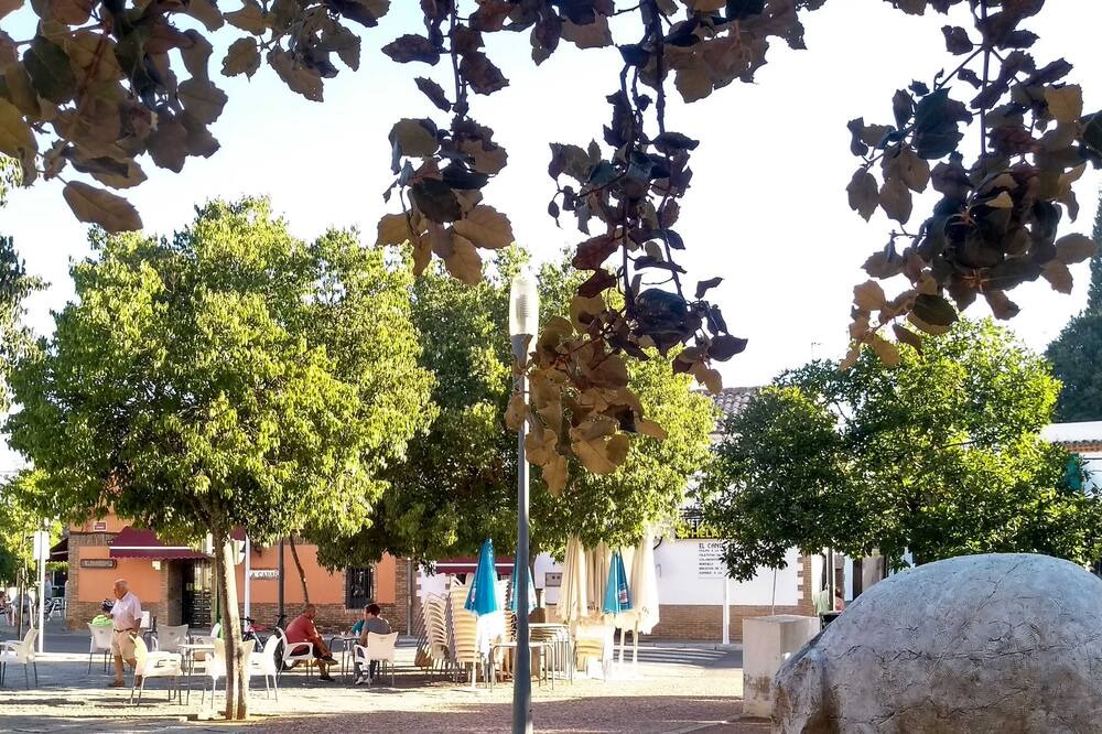 Photo of Outdoor in Santa Maria de Trassierra