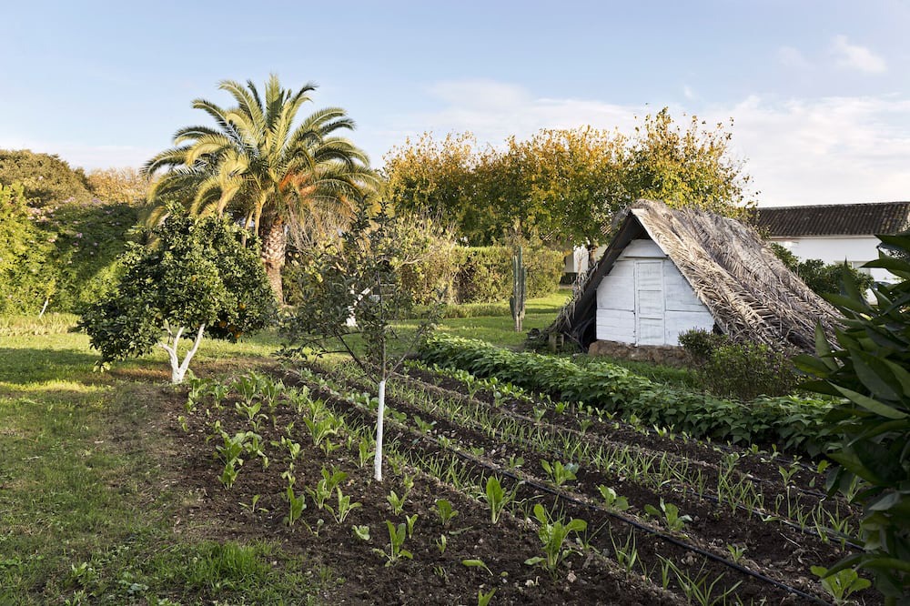 Photo of Outdoor in Cordoba
