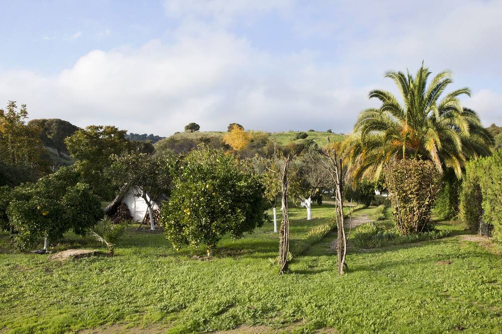 Photo of Outdoor in Cordoba