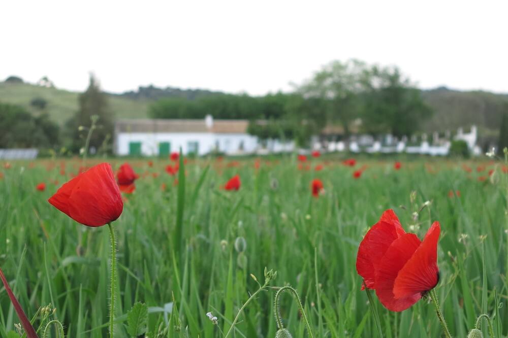 Photo of Outdoor in Cordoba