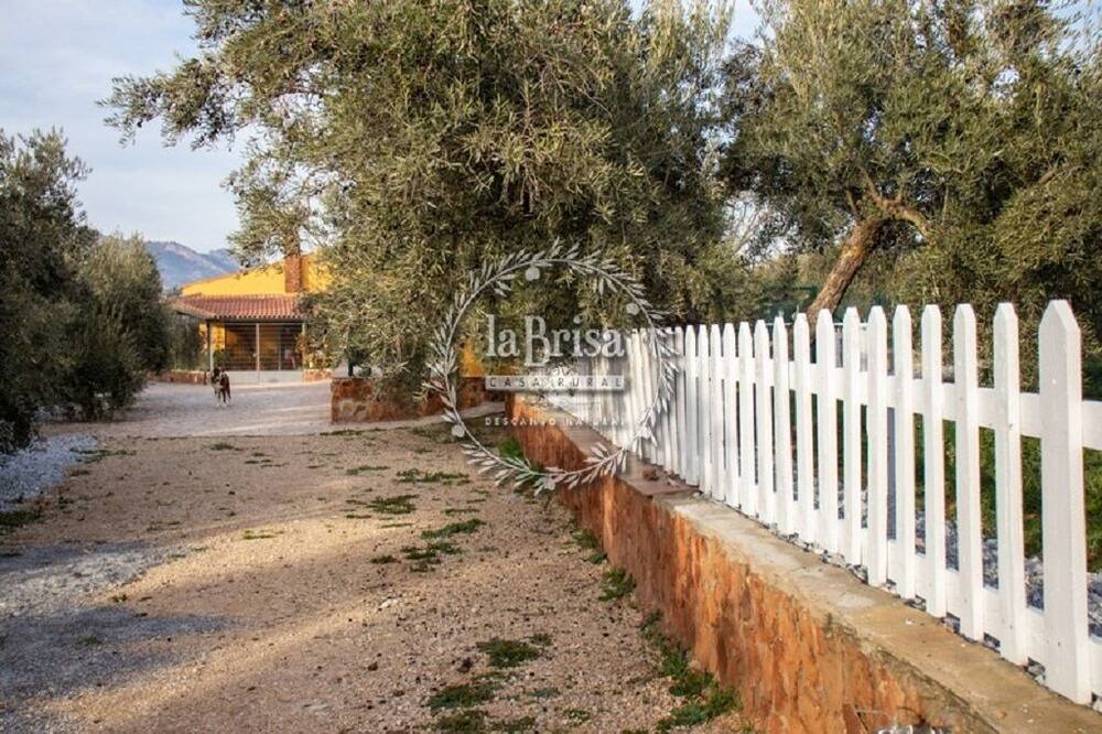 Photo of Outdoor in Pozo Alcon