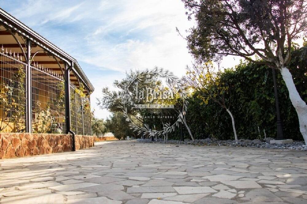 Photo of Outdoor in Pozo Alcon