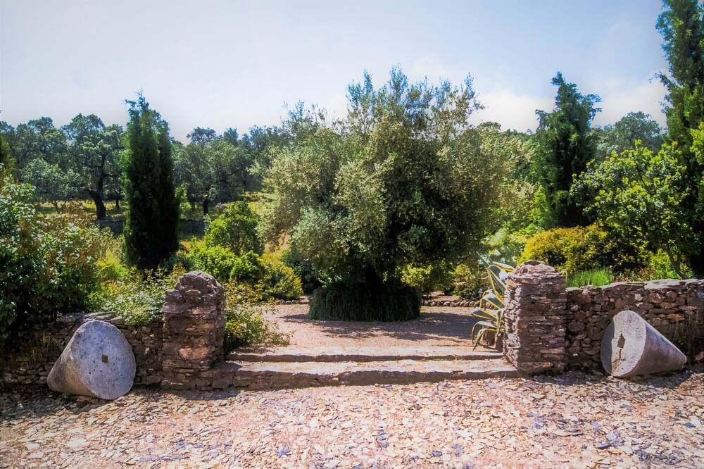 Photo of Outdoor in Aracena