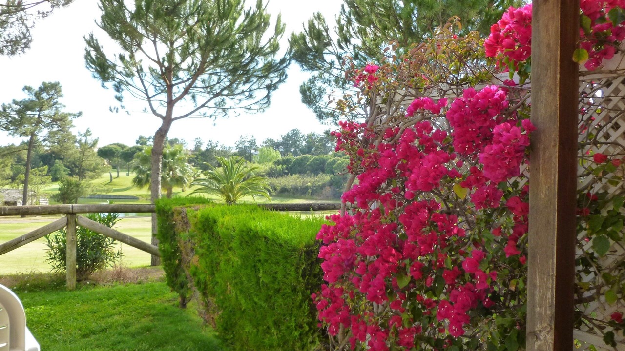 Photo of Outdoor in Islantilla
