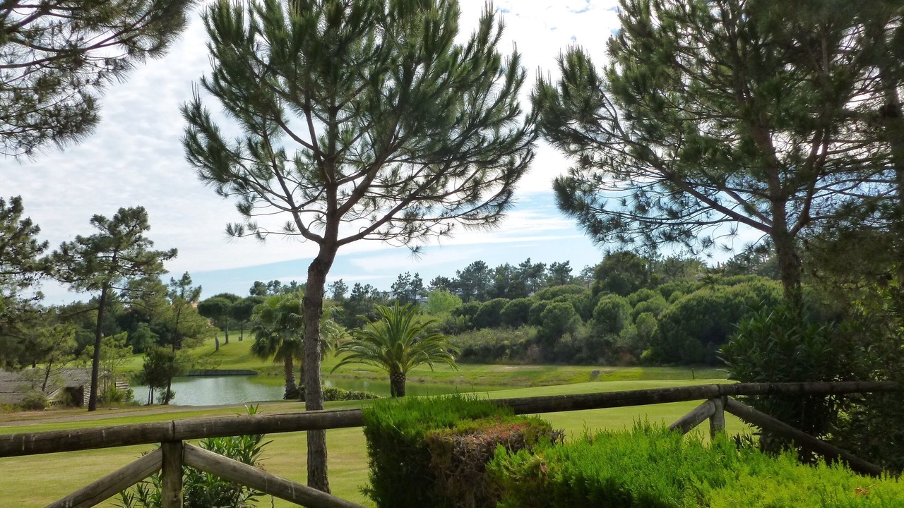 Photo of Outdoor in Islantilla