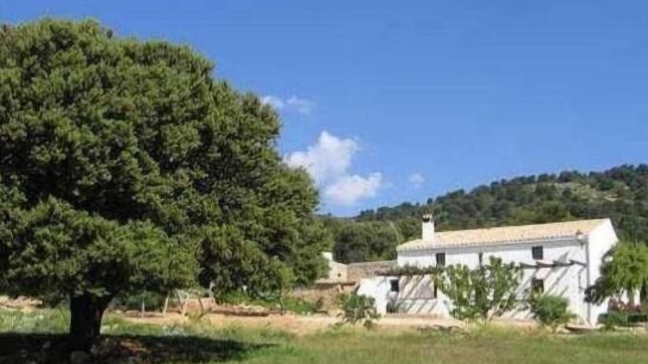 Photo of Outdoor in Campocamara