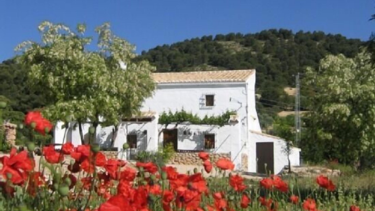 Photo of Outdoor in Campocamara