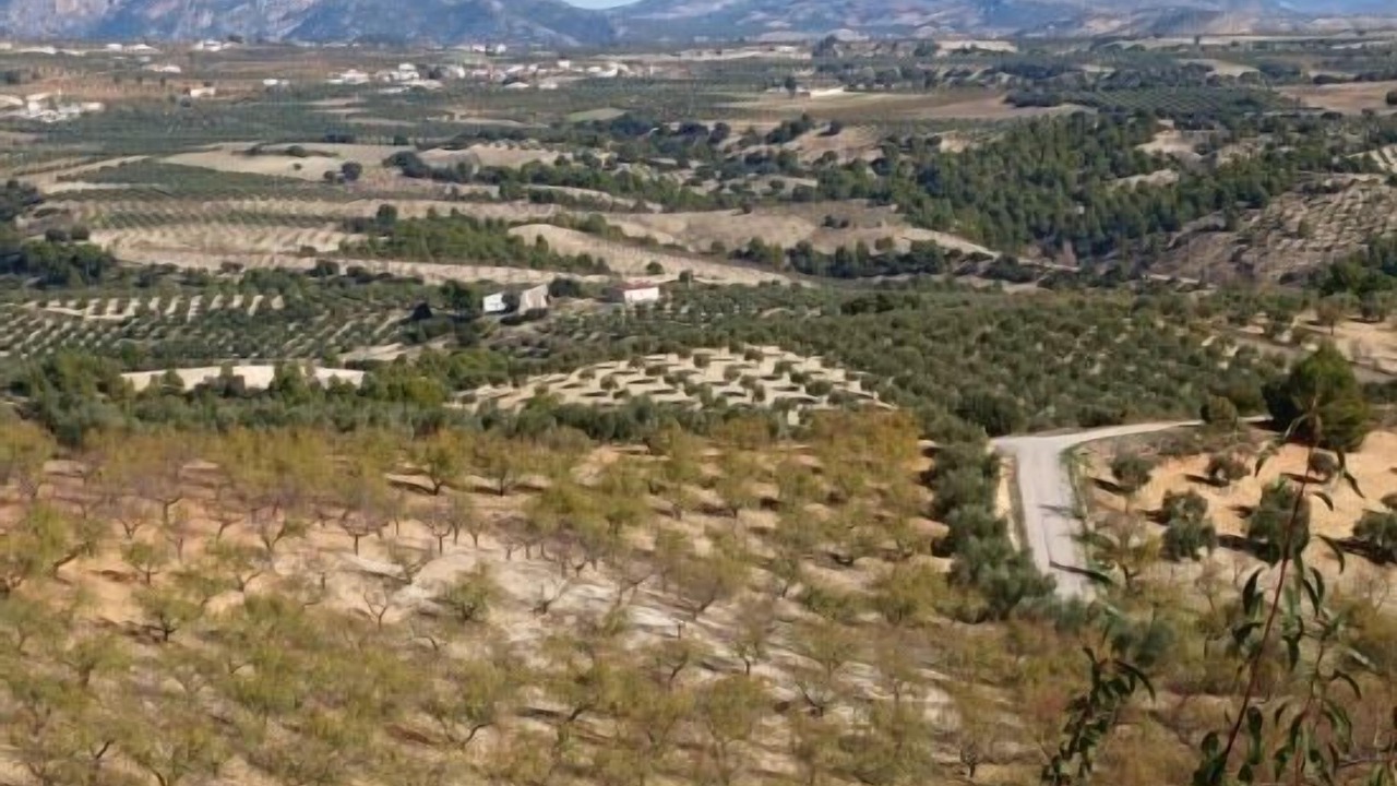 Photo of Outdoor in Campocamara